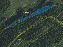 Dražba lesa, Strmilov, 3866 m2