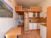 Pronájem bytu 1+kk, České Budějovice, Šumavská, 21 m2