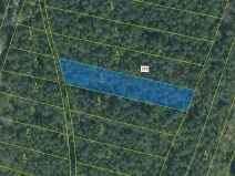 Dražba lesa, Vesce, 1673 m2