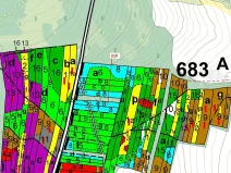 Dražba lesa, Vesce, 1673 m2
