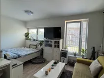 Pronájem bytu 1+kk, Svémyslice, 30 m2