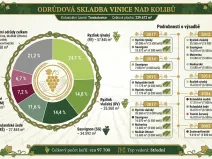 Prodej sadu/vinice, Troskotovice, 243931 m2