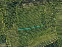 Prodej pole, Hradčovice, 2918 m2