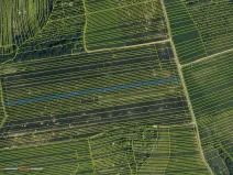 Prodej pole, Hradčovice, 4889 m2