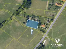 Prodej pole, Nasavrky, 1672 m2