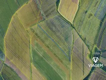 Prodej podílu pole, Velká nad Veličkou, 2376 m2