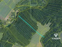 Prodej lesa, Moravské Bránice, 2986 m2