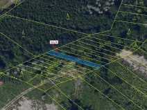 Dražba lesa, Havlíčkův Brod, 212 m2