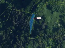 Dražba lesa, Český Dub, 448 m2