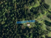 Dražba lesa, Zděchov, 273 m2