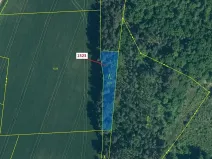 Dražba lesa, Hradiště, 645 m2
