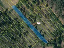 Dražba lesa, Březník, 885 m2