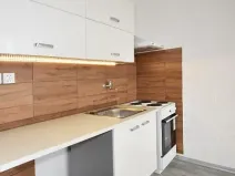 Pronájem bytu 1+kk, Chomutov, Seifertova, 22 m2