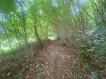 Prodej pozemku, Mladkov, 1004 m2