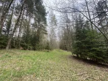 Prodej pozemku, Volfířov - Brandlín, 5958 m2