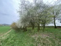 Prodej pozemku, Štětí - Brocno, 273 m2