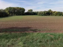 Prodej pole, Vinaře, 5793 m2