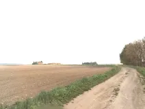 Prodej pole, Luštěnice, 2158 m2