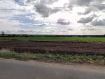 Prodej pole, Žerčice, 5185 m2