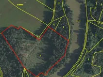 Prodej lesa, Nová Olešná, 22371 m2