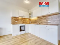 Pronájem bytu 1+kk, Plasy, U Václava, 42 m2