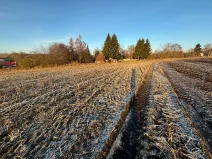 Prodej pozemku pro bydlení, Velká Bukovina, 2530 m2