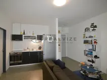 Pronájem bytu 1+kk, České Budějovice, Lidická tř., 35 m2