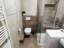 Pronájem bytu 1+kk, Olomouc, Šantova, 28 m2