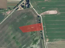 Prodej pole, Dubicko, 31003 m2