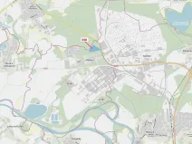 Dražba lesa, Rybitví, 37060 m2