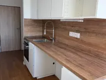 Pronájem bytu 1+kk, Liberec, Březová alej, 22 m2
