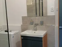 Pronájem bytu 2+kk, Praha - Dejvice, Koulova, 47 m2