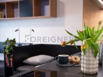 Pronájem bytu 1+kk, Olomouc, Edmunda Husserla, 27 m2