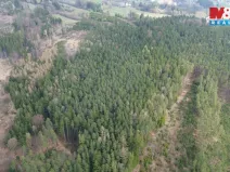 Prodej lesa, Mrákotín, 7873 m2