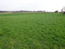 Prodej komerčního pozemku, Stránecká Zhoř - Kochánov, 2295 m2