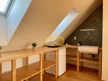 Pronájem bytu 1+kk, Praha - Nusle, Svatoslavova, 46 m2