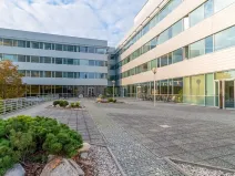 Pronájem obchodního prostoru, Praha - Holešovice, Jankovcova, 290 m2