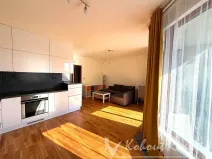 Pronájem bytu 1+kk, Praha - Záběhlice, Mattioliho, 45 m2