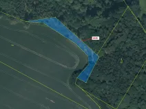 Dražba lesa, Chotýšany, 1841 m2