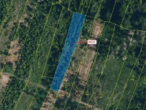 Dražba lesa, Chotěbudice, 1670 m2