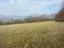 Dražba louky, Linhartice, 9269 m2