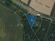 Dražba lesa, Chotěbudice, 529 m2