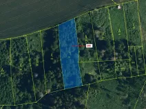 Dražba lesa, Chotěbudice, 2054 m2