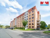 Pronájem bytu 1+kk, Plzeň - Skvrňany, Waltrova, 50 m2