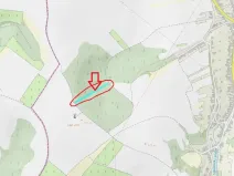 Prodej podílu lesa, Nikolčice, 2475 m2