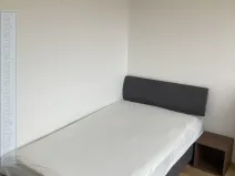 Pronájem pokoje, Brno, Havelkova, 19 m2