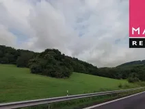 Prodej louky, Stráž nad Ohří, 63385 m2