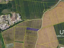 Prodej pole, Brno, 11752 m2