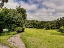 Pronájem bytu 2+kk, Praha - Žižkov, Kunešova, 65 m2