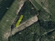 Prodej lesa, Dubňany, 5378 m2